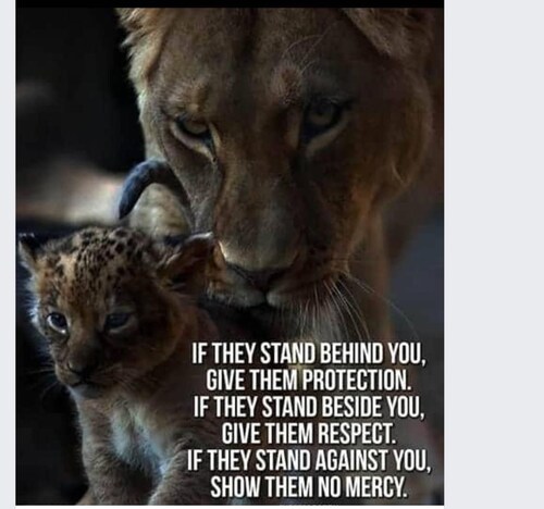 Pronouns in bio means bats in the belfry! #Sexmatters #Sexnotgender