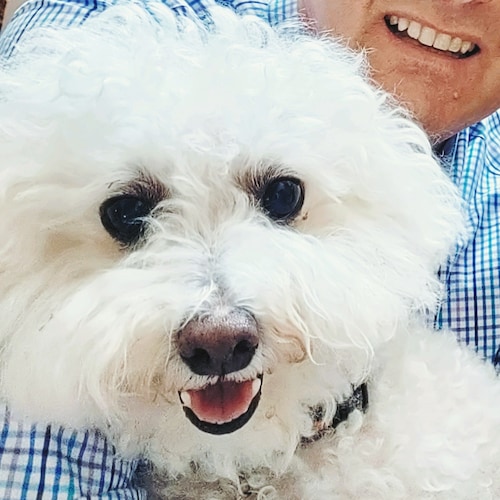 Visit MelB90 🇺🇸's profile on GETTR. View their posts, photos, videos, and connect with them on the social platform.