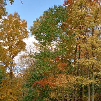 🙏🕊Believer,✝️ 🕊
Patriot🦅🇺🇸