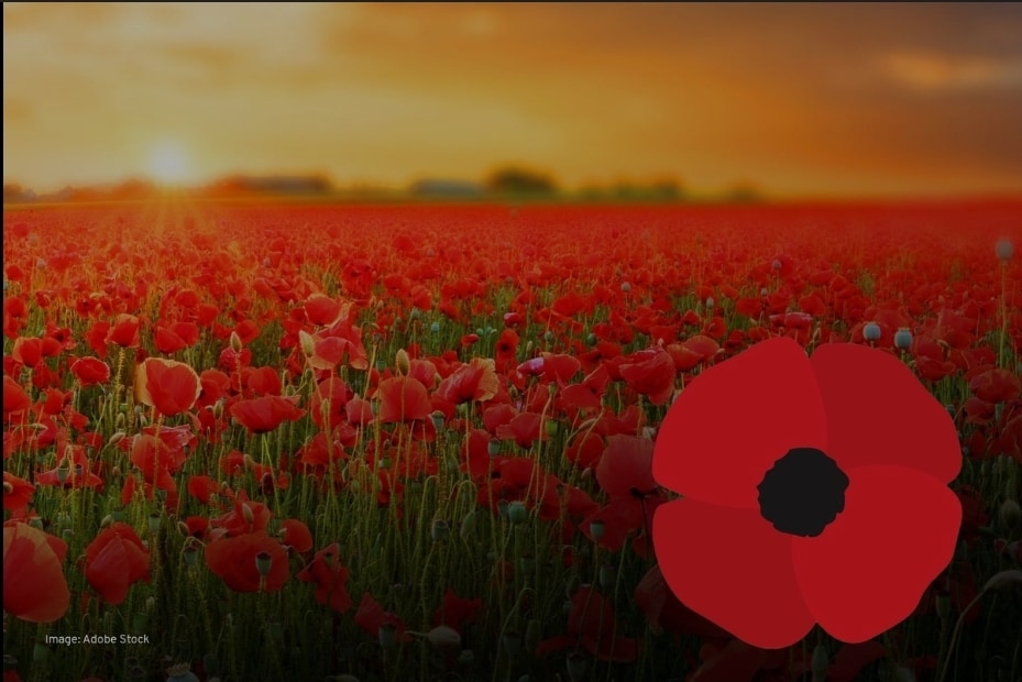 They shall grow not old, as we that are left grow old:
Age shall not weary them, nor the years conde...
