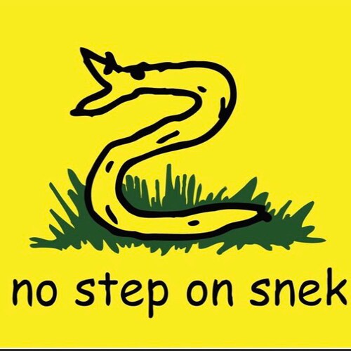 “If the freedom of speech is taken away then dumb and silent we may be led, like sheep to the slaughter.”. George Washington