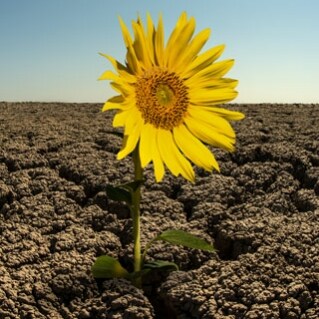 Social Media is BETTR with GETTR. BETTR community. BETTR technology. BETTR opportunity.