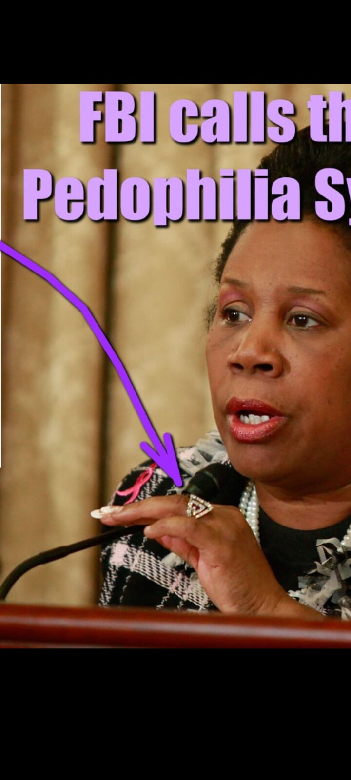 Why is the Despicable Sheila Jackson Lee wearing a pedophile symbol ring