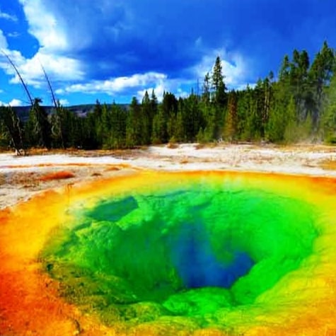 我们是消灭邪恶中国共产党的新中国人

We are the NEW CHINESE who is taking down the EVIL Chinese Communist Party