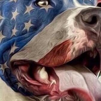 God knows, I’m a foreigner here…apart from the Biblical sense. I’m nearly a stranger in my own country nowadays and dubb...