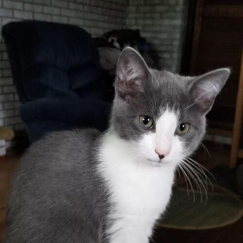 🇺🇸#GodBlessAmerica 🇺🇸
ULTRA MAGA PATRIOT 🔥. Remember 
Jesus Wins ✝️ If He walked out of the grave I'm walking too �...