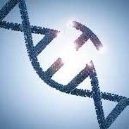 ⚠️ADVERTENCIA⚠️ El mundo se dirige en una dirección equivocada, de la cual no te has dado cuenta. No tendrás nada y será...