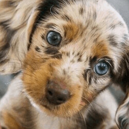 Visit AvantiBevSempre's profile on GETTR. View their posts, photos, videos, and connect with them on the social platform.