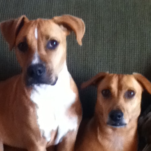 Proud retired Dad/Grampy! Blessed to live in country on a lake. Love God, Our Lord Jesus, My Family, Trump, American Fla...