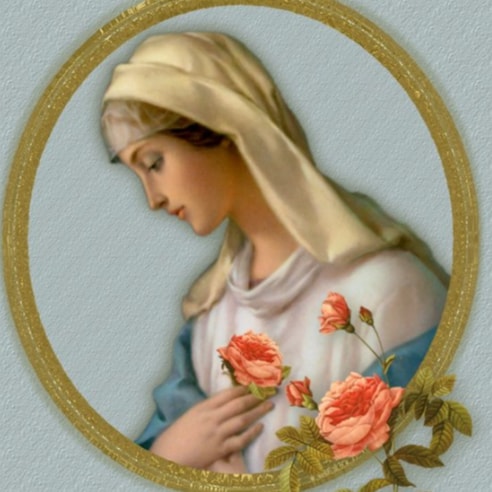 Visit DAKyne's profile on GETTR. View their posts, photos, videos, and connect with them on the social platform.