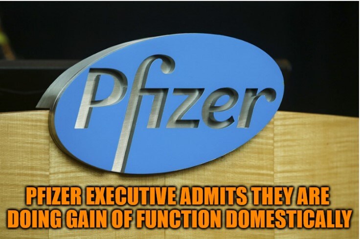 Project Veritas strikes again.  Gets a Pfizer executive to admit that they are doing Gain of Function to mutate the virus so they can sell more vaccines.  