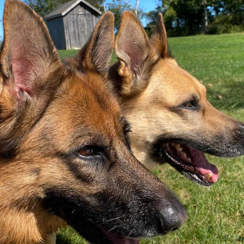 Visit maryjanesmall's profile on GETTR. View their posts, photos, videos, and connect with them on the social platform.