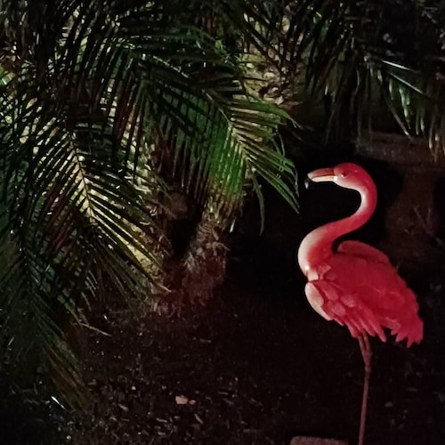 Loves God & Family Patriot KY Girl ✝️❤🇺🇸