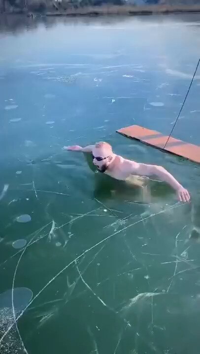 View BFN News's post on GETTR. Join the discussion, share your thoughts, and connect with the community.