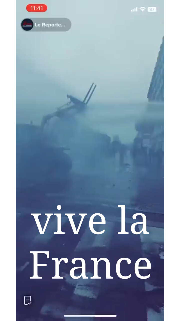 Apparently the French remember how to deal with tyrants 

#france #revolution #rebellion 