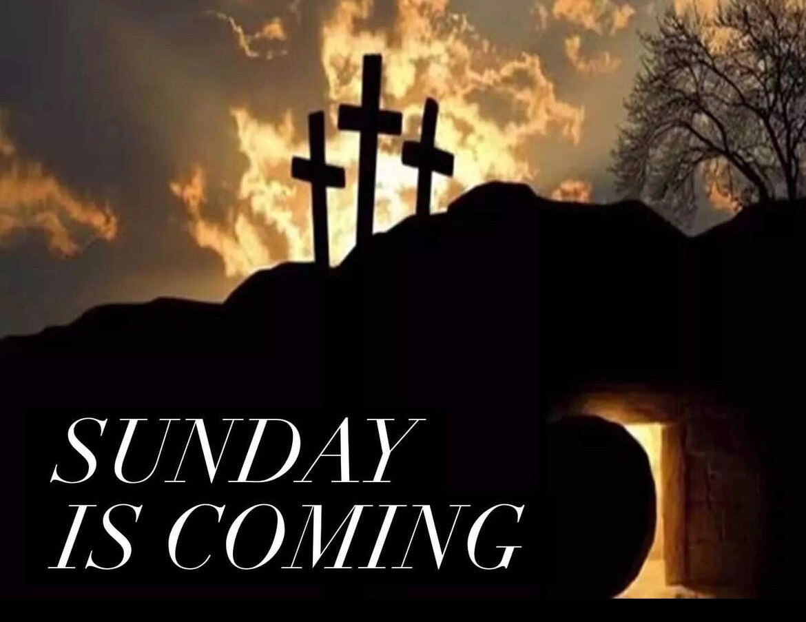 View dochollis's post on GETTR. Join the discussion, share your thoughts, and connect with the community.