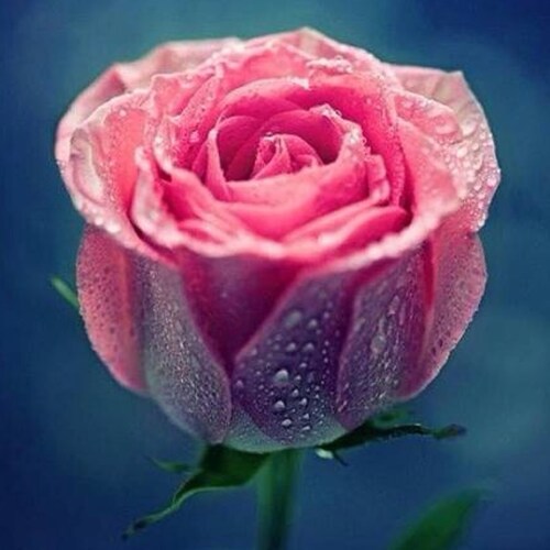 Visit 九天's profile on GETTR. View their posts, photos, videos, and connect with them on the social platform.