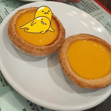 蛋挞宝宝👼👼👼🍀（互粉中五月花农场）