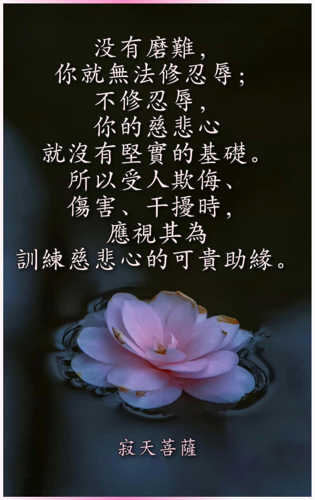 #佛教 #佛法 #磨难 #忍辱 #欺辱 #慈悲心