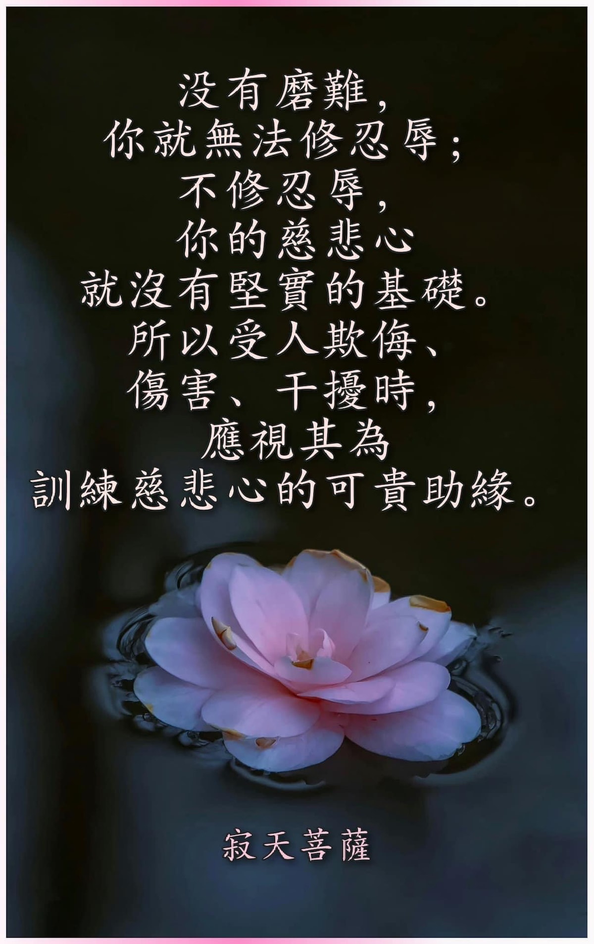 #佛教 #佛法 #磨难 #忍辱 #欺辱 #慈悲心