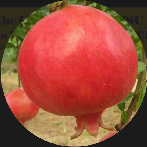 https://gettr.com/user/shiliu_0702
Twitter:@TakeTake214429