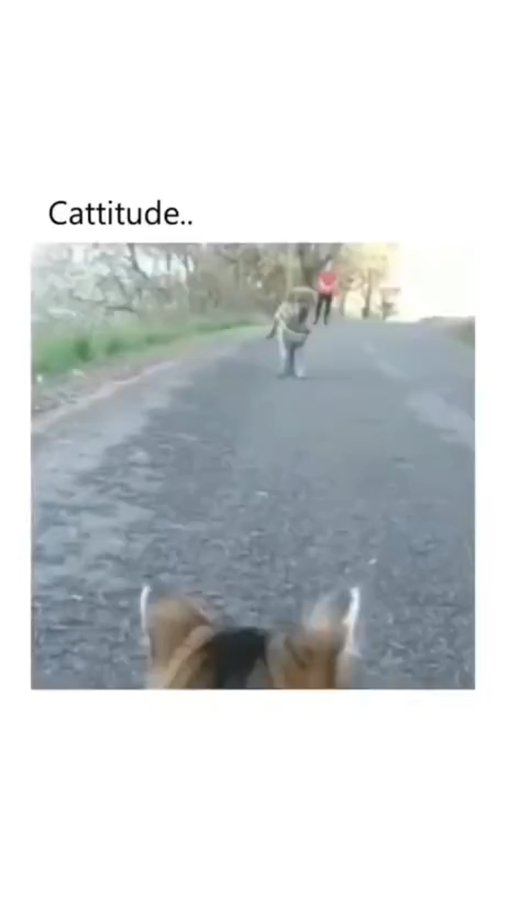 View ☦️🦁⚔ 🆃🆁🅴🅱 ⚔🩸's post on GETTR. Join the discussion, share your thoughts, and connect with the community.