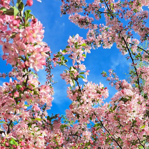 Visit Julia's profile on GETTR. View their posts, photos, videos, and connect with them on the social platform.