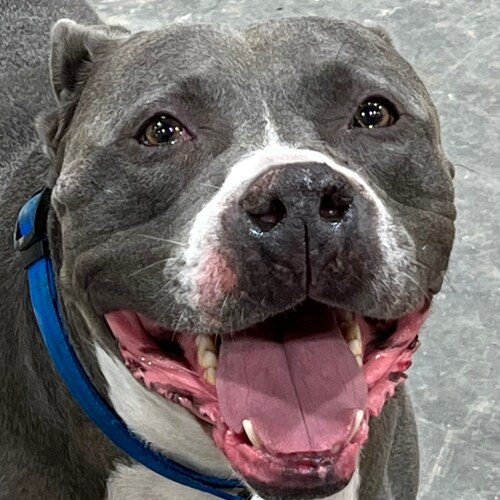 Visit maxdarrenmax's profile on GETTR. View their posts, photos, videos, and connect with them on the social platform.