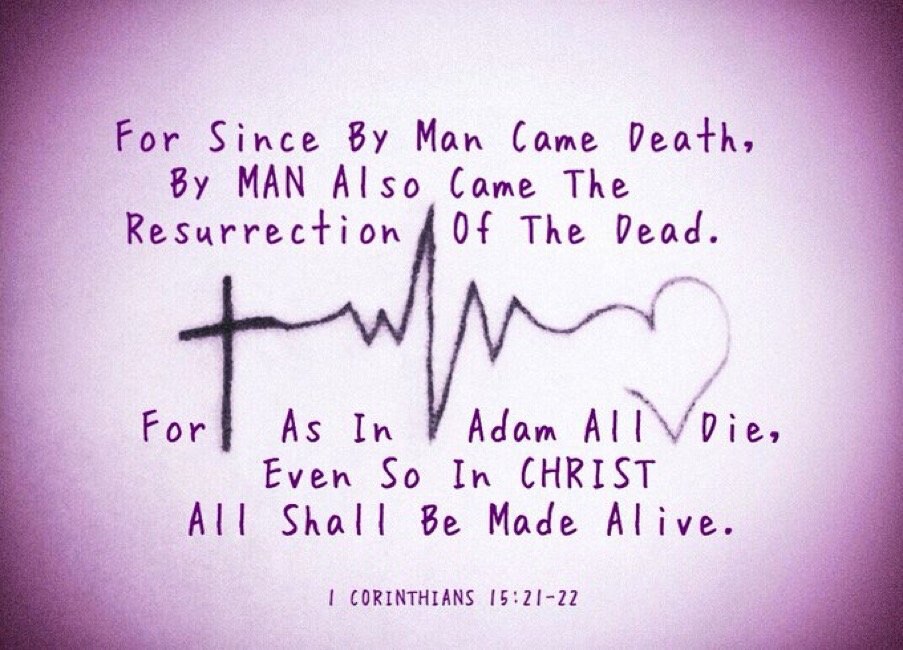 View TempAvail's post on GETTR. Join the discussion, share your thoughts, and connect with the community.