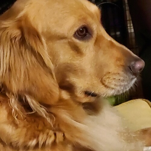 I Love Jesus, and a Christian Conservative. I love my Country, USA🇺🇸 Im a mother and Grandmother.