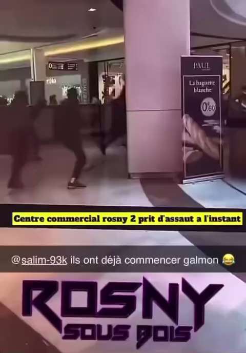 The second largest shopping mall in Paris is now under the control of the new French African Islamic...