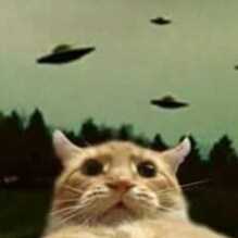 Fed Up. #FreedomOfSpeech #LGBFJB