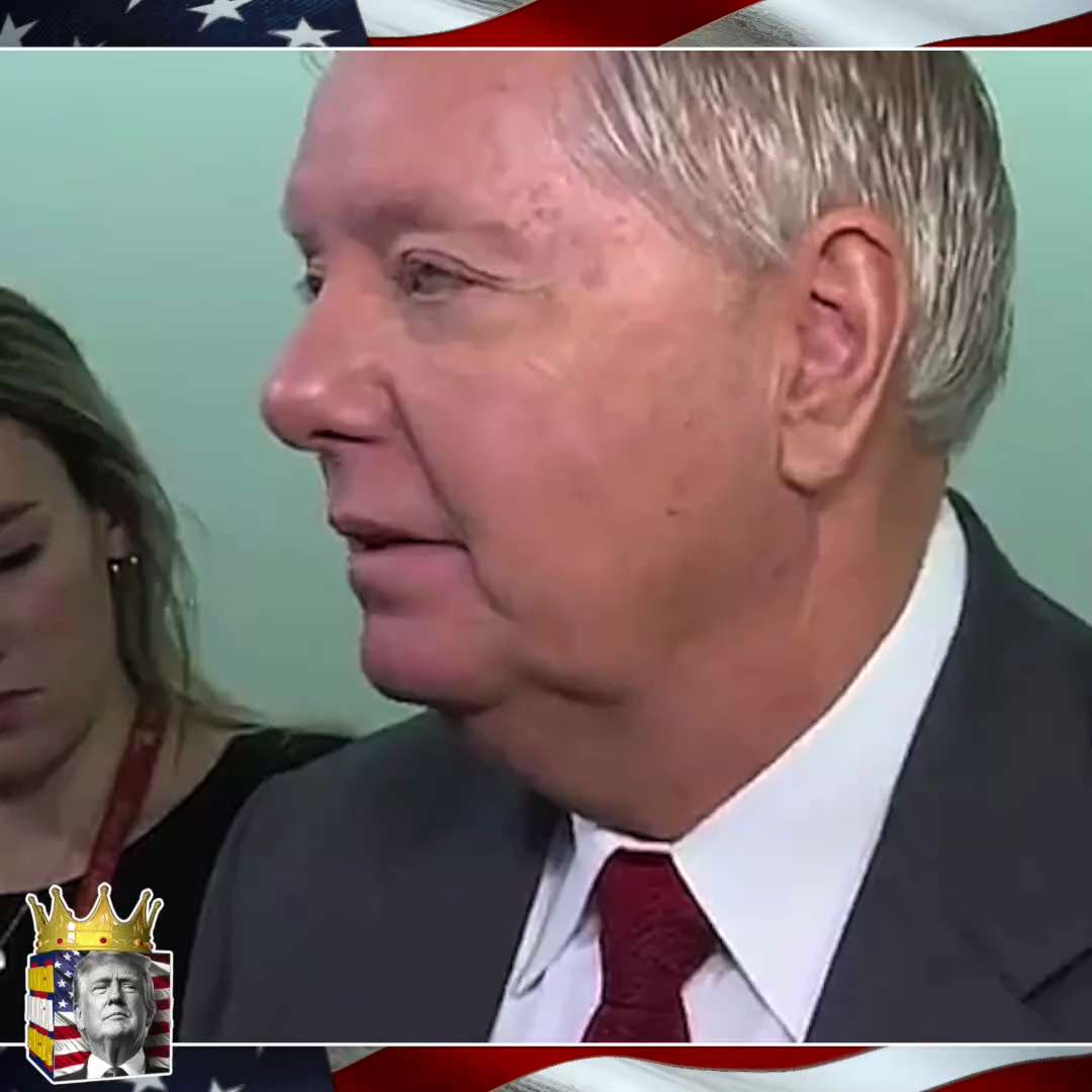RINO traitor Lindsey Graham—continuing to backstab President Trump and MAGA to this very day!