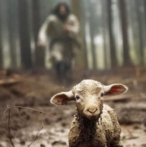 Wife to my BFF, Mom, Mimi -living an abundant life in Jesus.