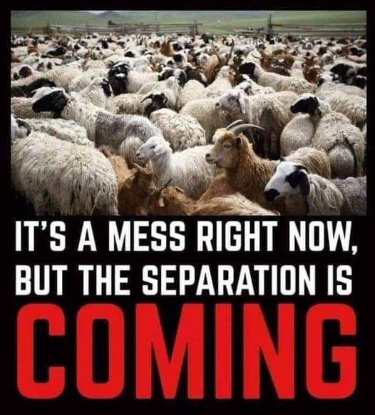 View Shenandoah Valley 2A's post on GETTR. Join the discussion, share your thoughts, and connect with the community.