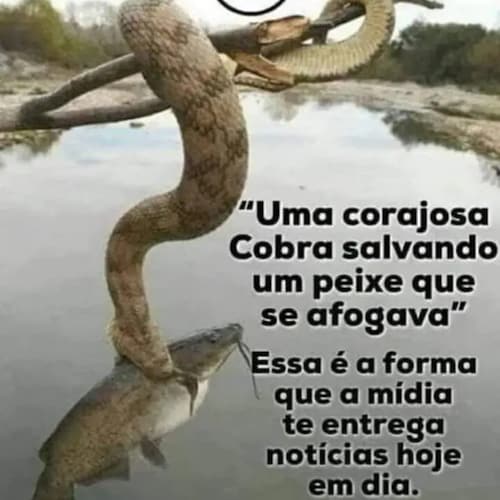 Visit Geraldo58's profile on GETTR. View their posts, photos, videos, and connect with them on the social platform.