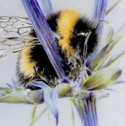 I am an American living abroad. Thankfully God always works with the remnant not the majority. May he receive the glory ...