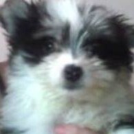 Visit Wayoutwilly's profile on GETTR. View their posts, photos, videos, and connect with them on the social platform.