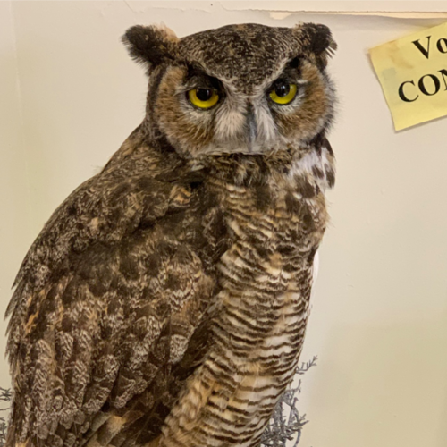 Visit xaviers_brain's profile on GETTR. View their posts, photos, videos, and connect with them on the social platform.