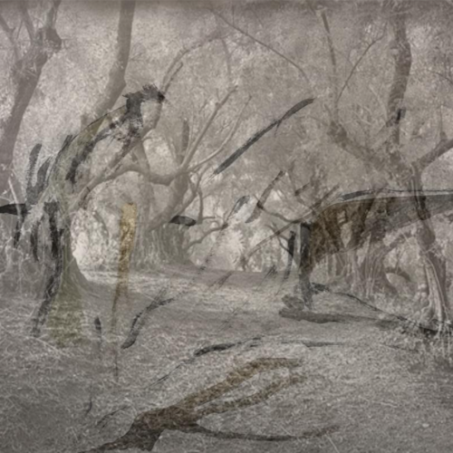 Putin's Forderung nach einer unabhaengen Ostukraine und einer von der Ukraine unabhaengigen Krim MUSS stattgegeben werde...