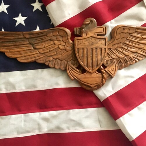 Country raised. Critical thinker, Common sense. USN Wings of Gold.  VN Combat Veteran. Desert Storm. MAGA. God, family, ...