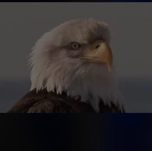 Visit 🇱🇷🚛gimpyoneleg🚛🇱🇷's profile on GETTR. View their posts, photos, videos, and connect with them on the social platform.