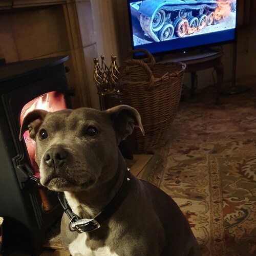 🇺🇸🇮🇱🇬🇧🌐🚜
Anti Communist For The People 
#GLOBALCOUP
#DASNEUESREICH  
#SAVEHUMANITY🙏
@RegiusModica 
FB Jan...