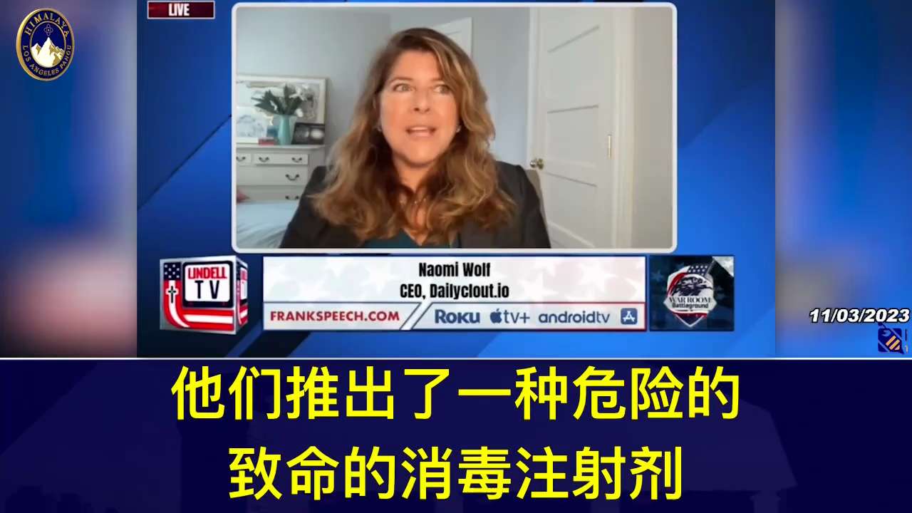 Dr. Naomi Wolf answers Mr. Bannon on Pfizer's latest financial numbers and how Pfizer's vaccine fias...