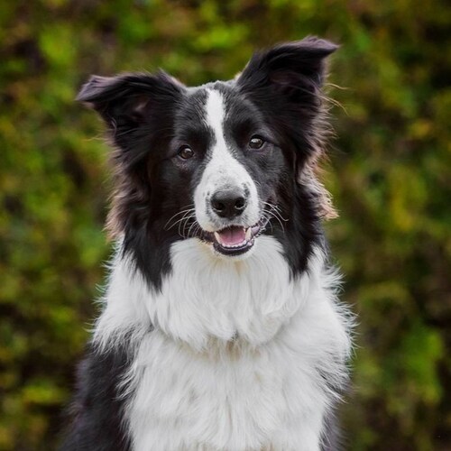 let the truth be told 💯