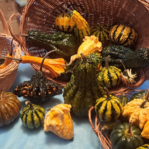 Psychrophiles, mesophiles, and thermophiles of the world, unite!