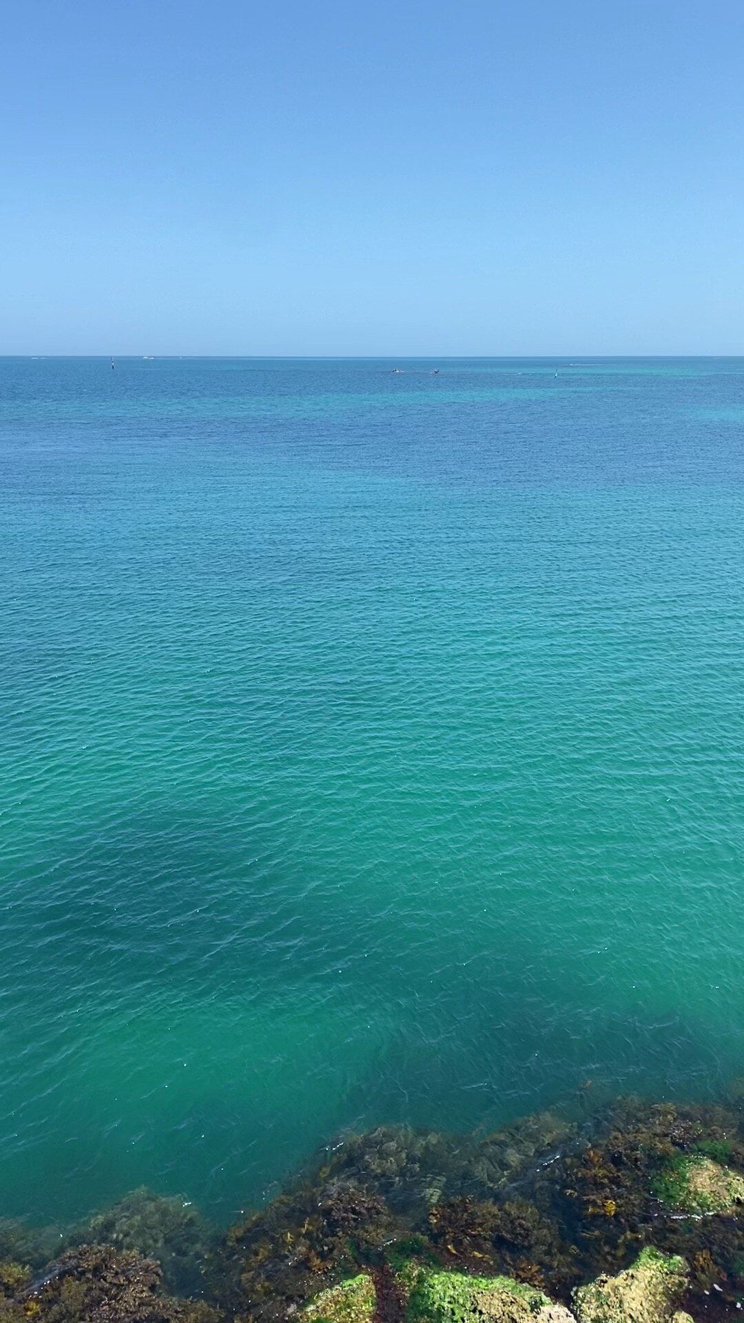 View darklily's post on GETTR. Join the discussion, share your thoughts, and connect with the community.