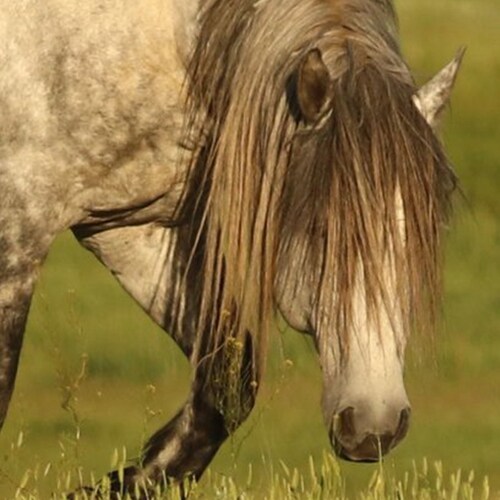 singer-song writer from Utah. Saving Rob. God bless America