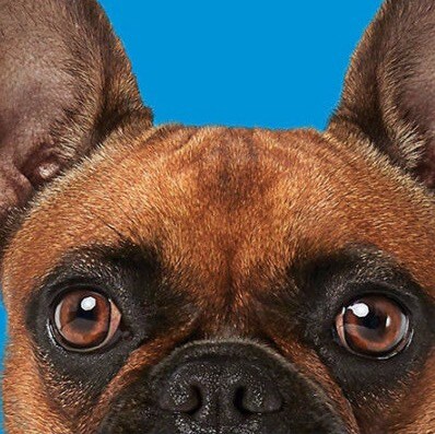 Visit eladiojr1's profile on GETTR. View their posts, photos, videos, and connect with them on the social platform.