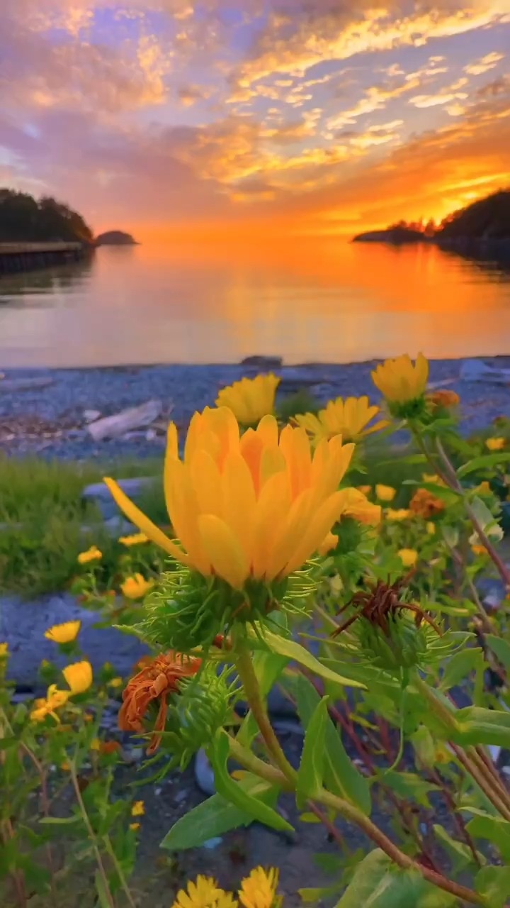 View Lefigaro's post on GETTR. Join the discussion, share your thoughts, and connect with the community.